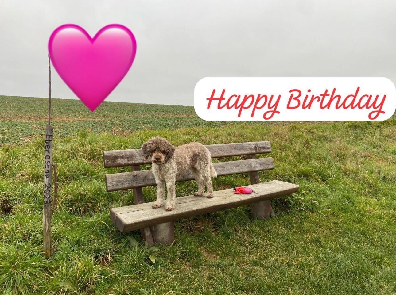 Felia vom Rittergut München