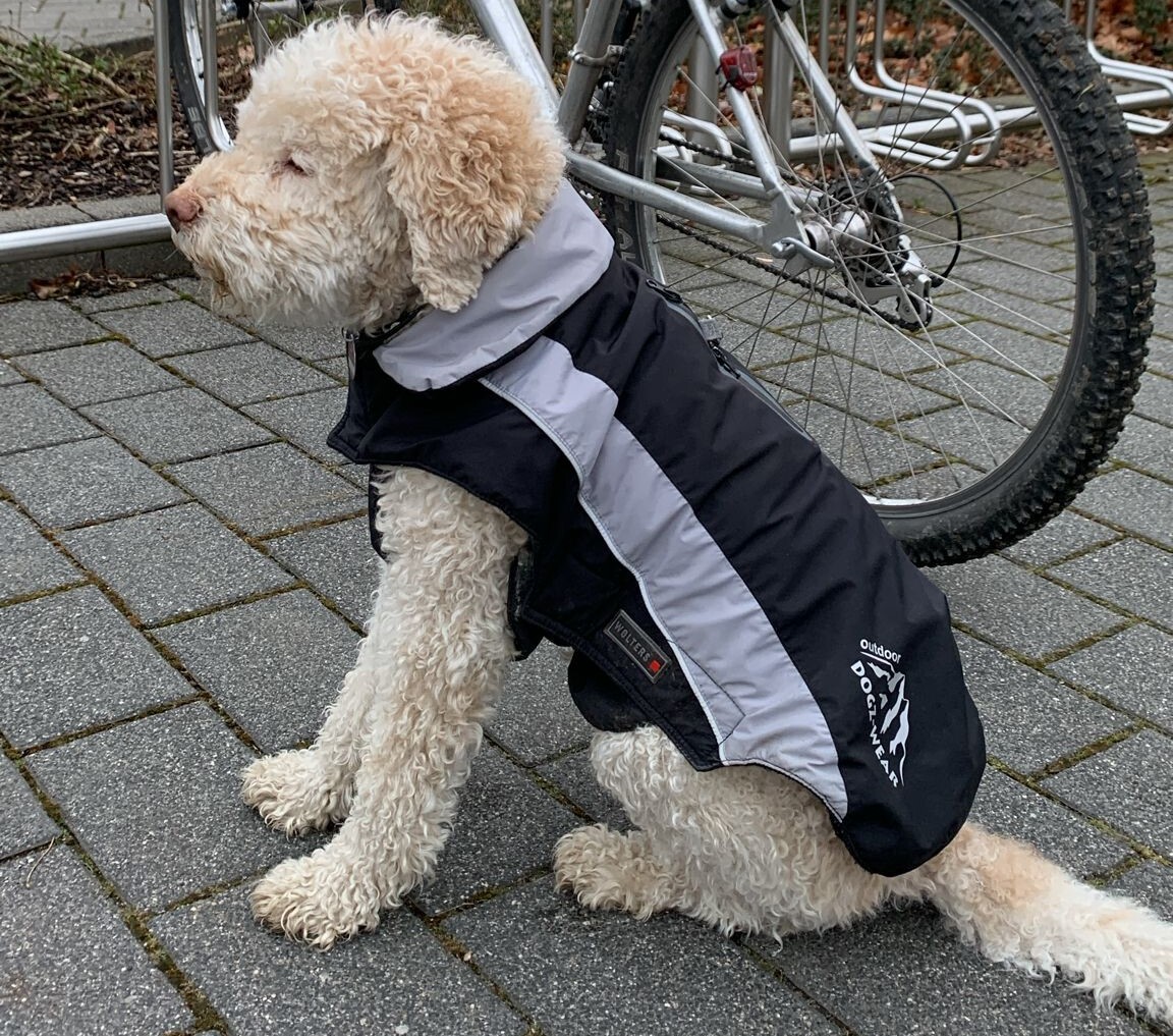 Frodo vom Rittergut München